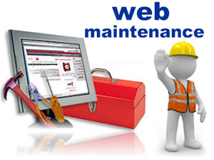 Web site maintenance and updates weekly, monthly or quarterly to meet your needs.